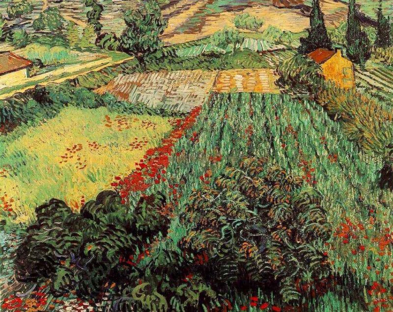 1889 field with poppies.jpg